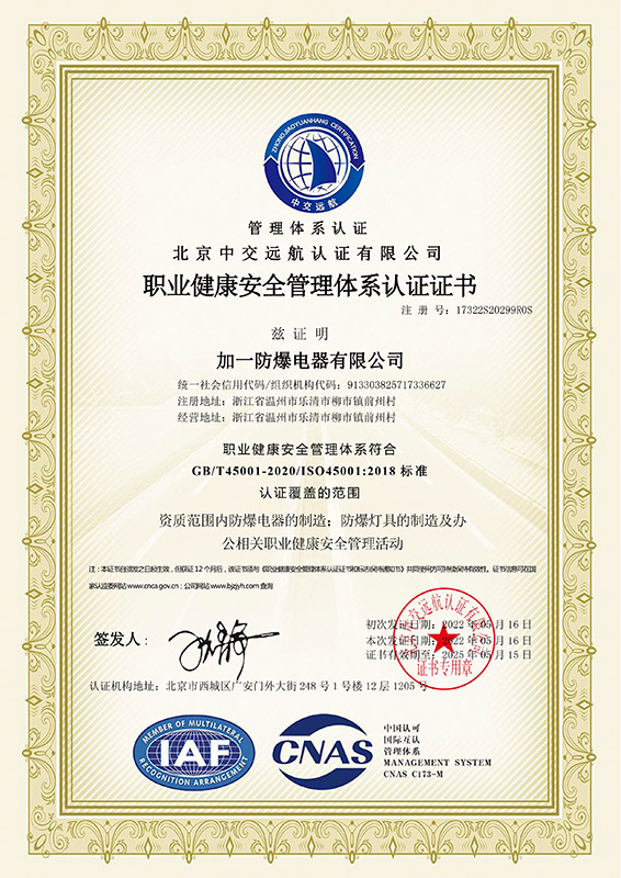 職業(yè)安全證書中文45001